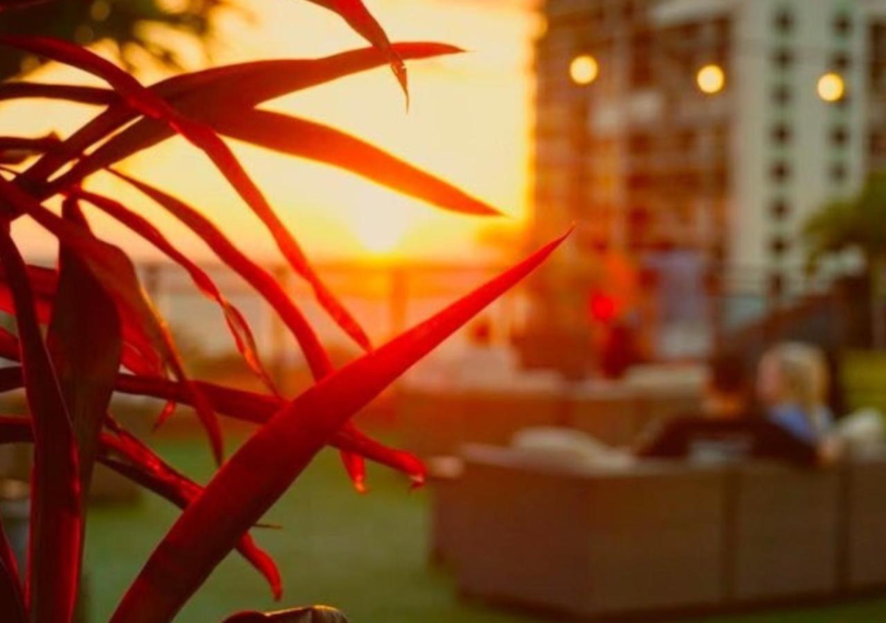 เดอะ โฮเต็ล ซาโมรา Hotel เซนต์พีทบีช ภายนอก รูปภาพ