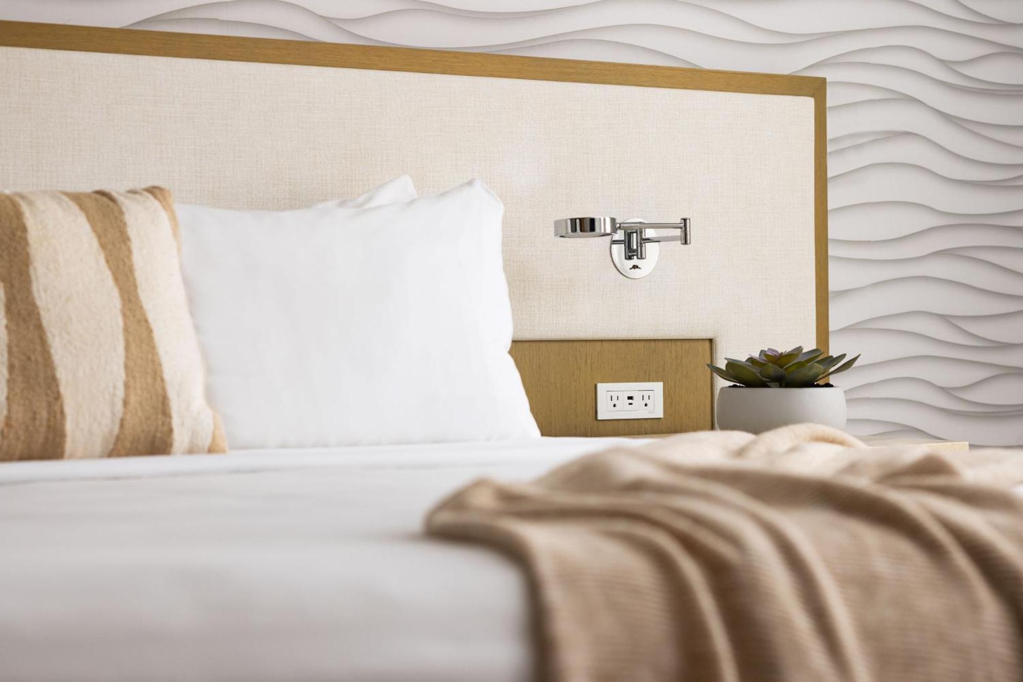 เดอะ โฮเต็ล ซาโมรา Hotel เซนต์พีทบีช ภายนอก รูปภาพ